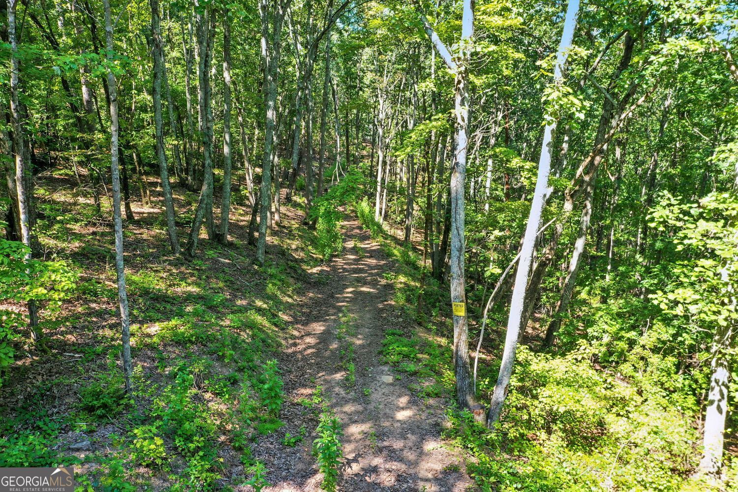 Waleska, Georgia, 30183, United States, ,Land,For Sale,1929808