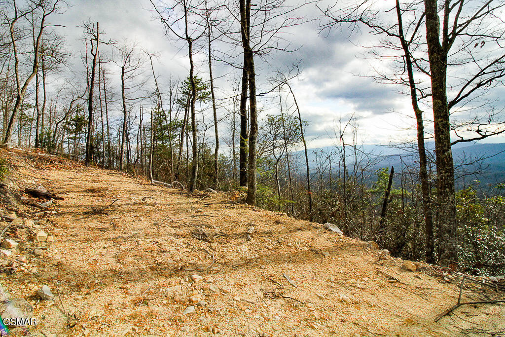 Sevierville, Tennessee, 37876, United States, ,Land,For Sale,2009102