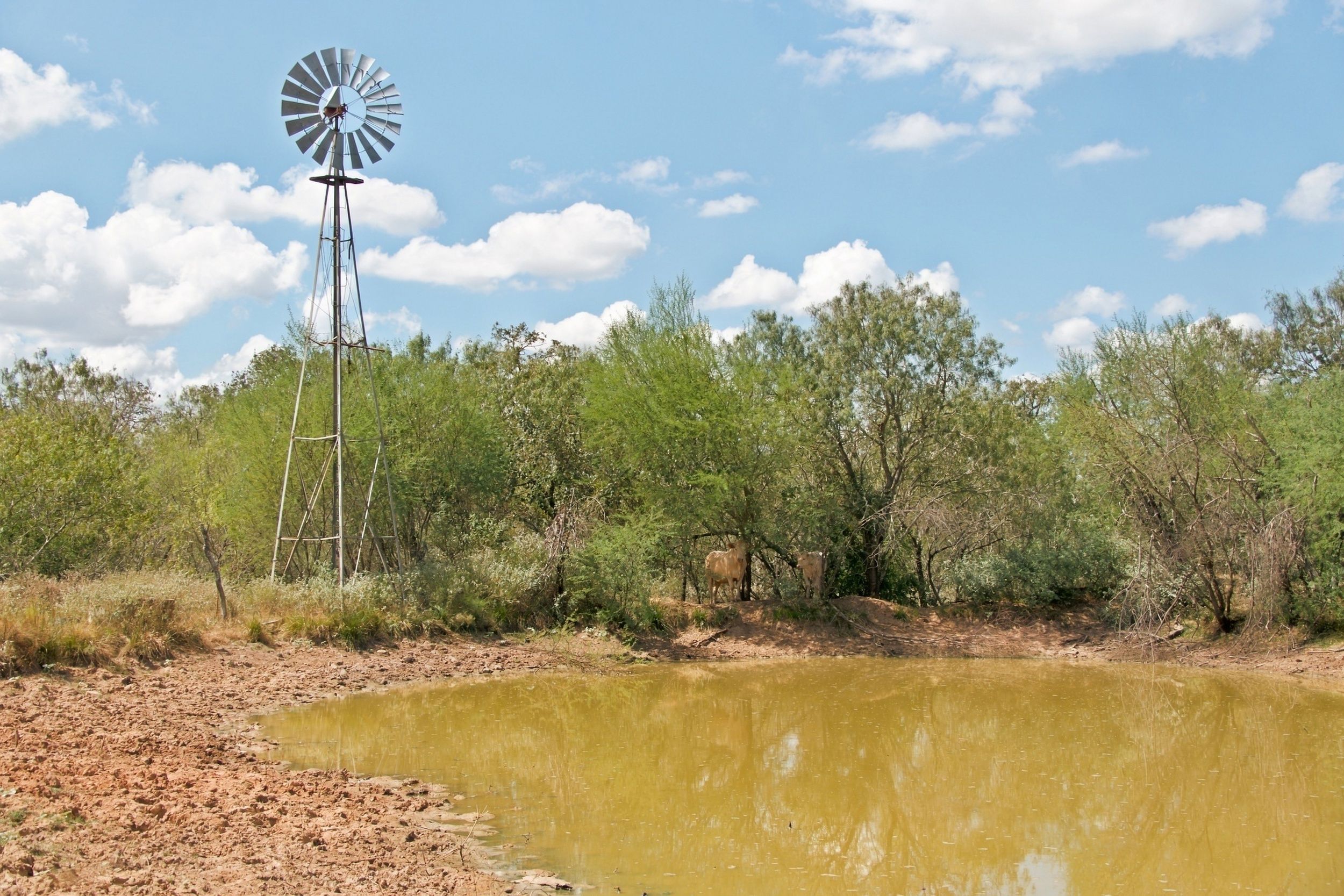  186+/- Acre Post Oak Hill Ranch - 物件實景