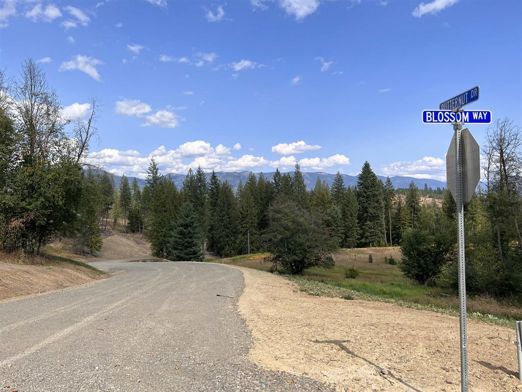 Sagle, Idaho, 83860, United States, ,Residential,For Sale,1880549
