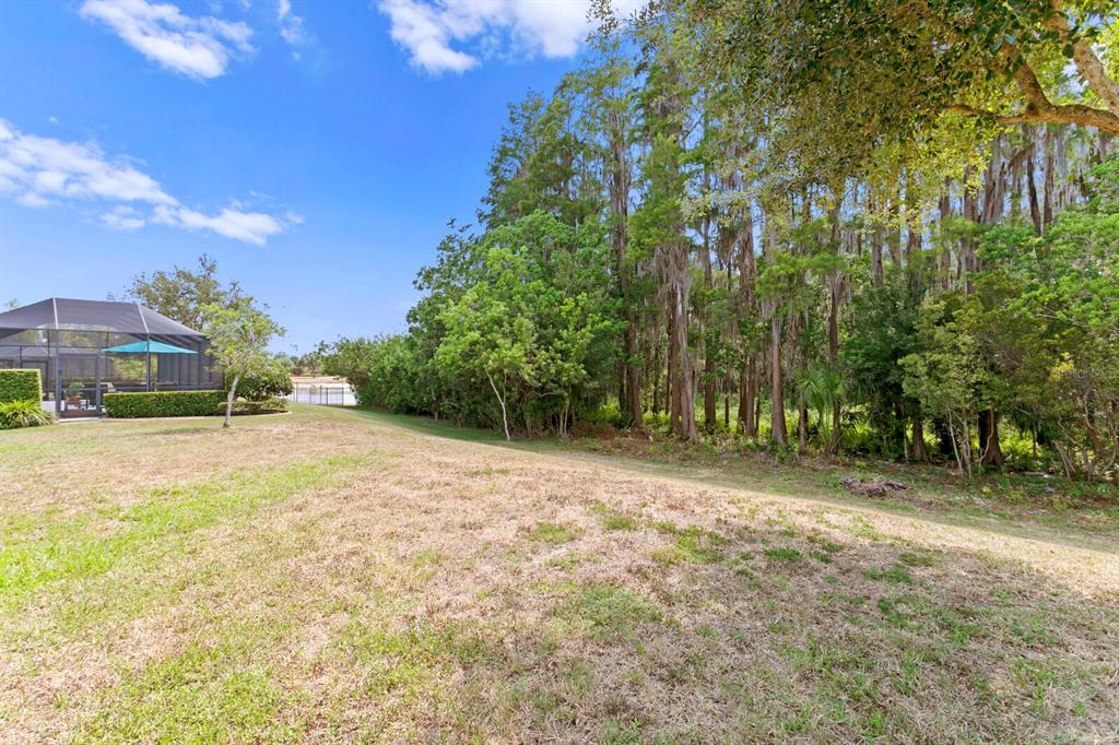 Lutz, Florida, 33558, United States, 4 Bedrooms Bedrooms, ,2 BathroomsBathrooms,Residential,For Sale,1760226