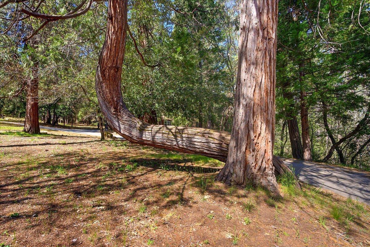 Nevada City, California, 95959, United States, 2 Bedrooms Bedrooms, ,3 BathroomsBathrooms,Residential,For Sale,1887439