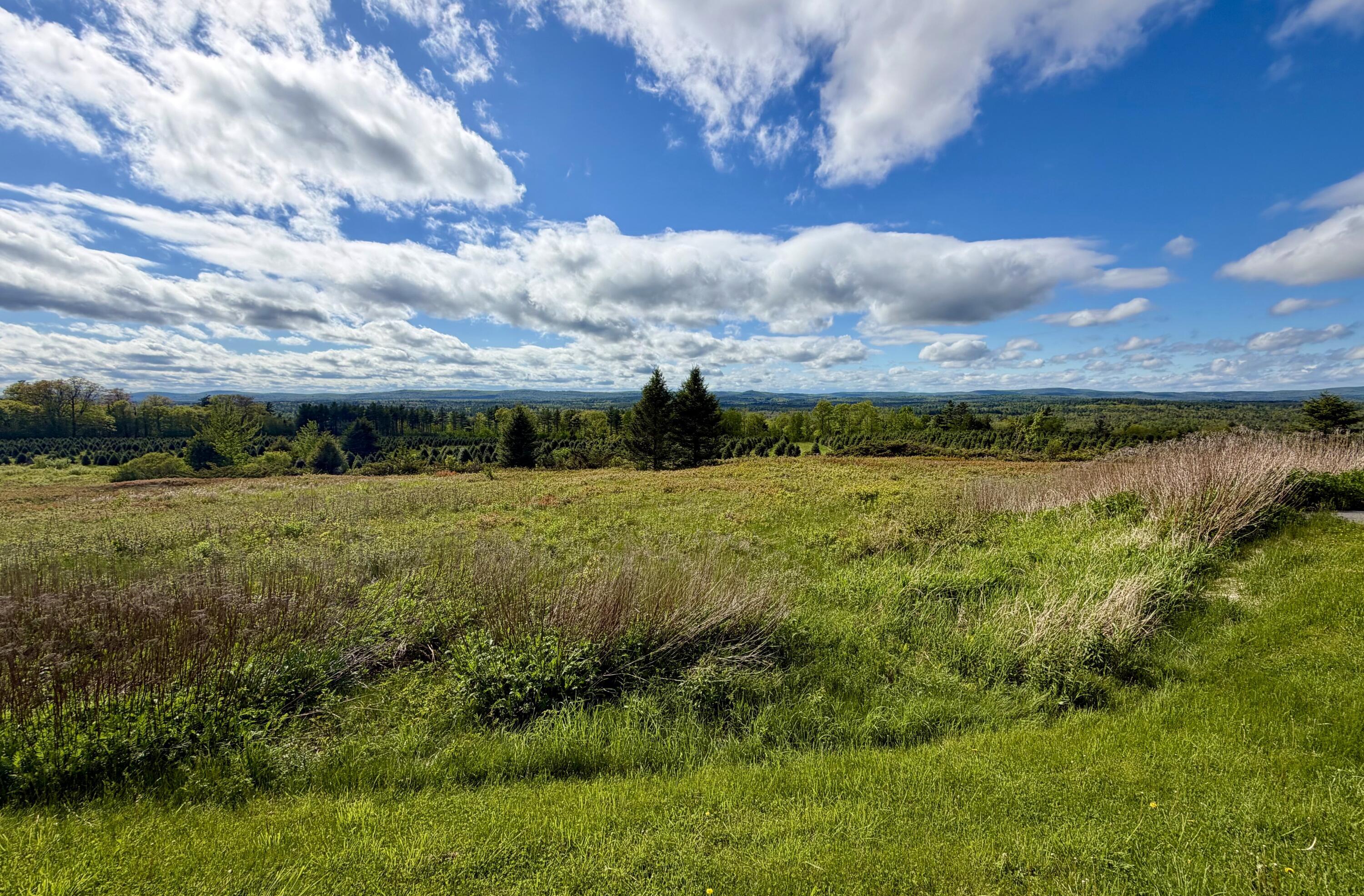  297 Appleton Ridge Road - 物件實景