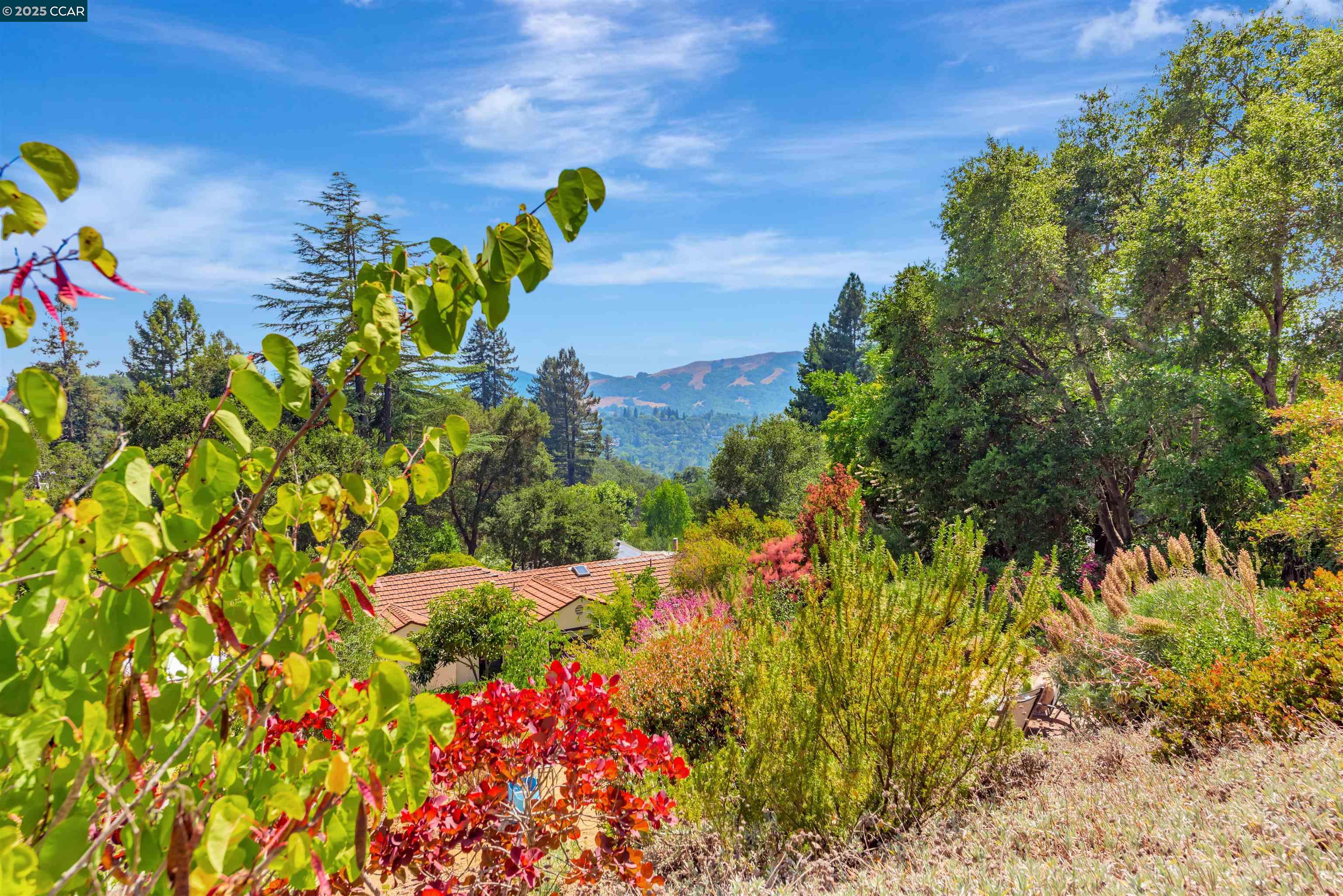 Orinda, California, 94563, United States, 4 Bedrooms Bedrooms, ,3 BathroomsBathrooms,Residential,For Sale,1885417