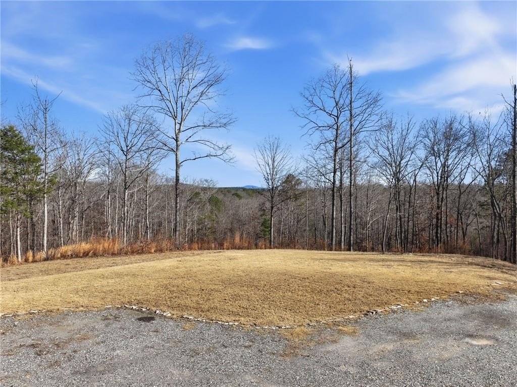 Talking Rock, Georgia, 30175, United States, 1 Bedroom Bedrooms, ,1 BathroomBathrooms,Residential,For Sale,2005739