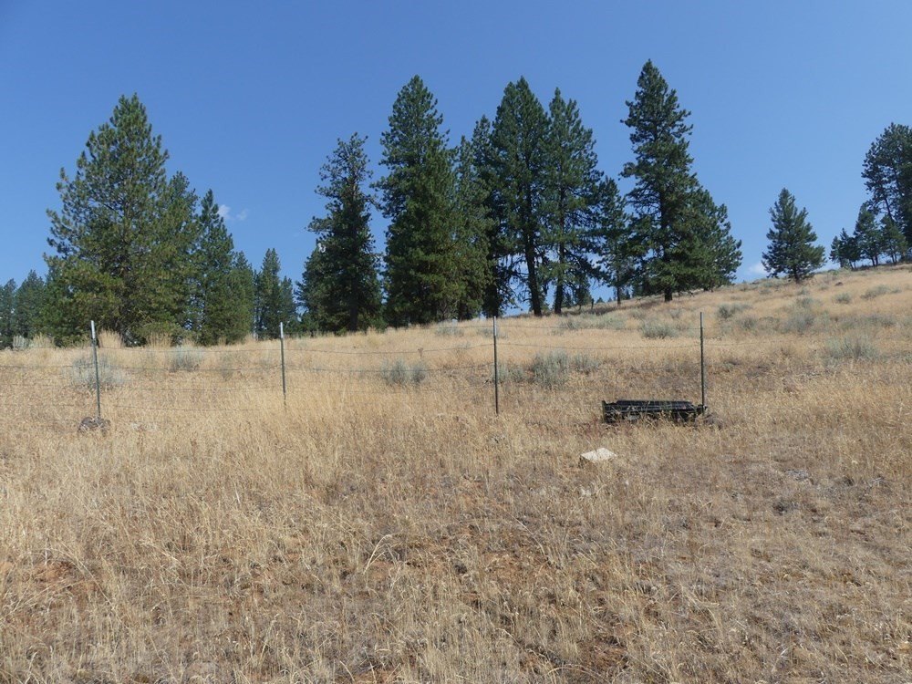 New Meadows, Idaho, 83654, United States, 3 Bedrooms Bedrooms, ,2 BathroomsBathrooms,Residential,For Sale,1810629