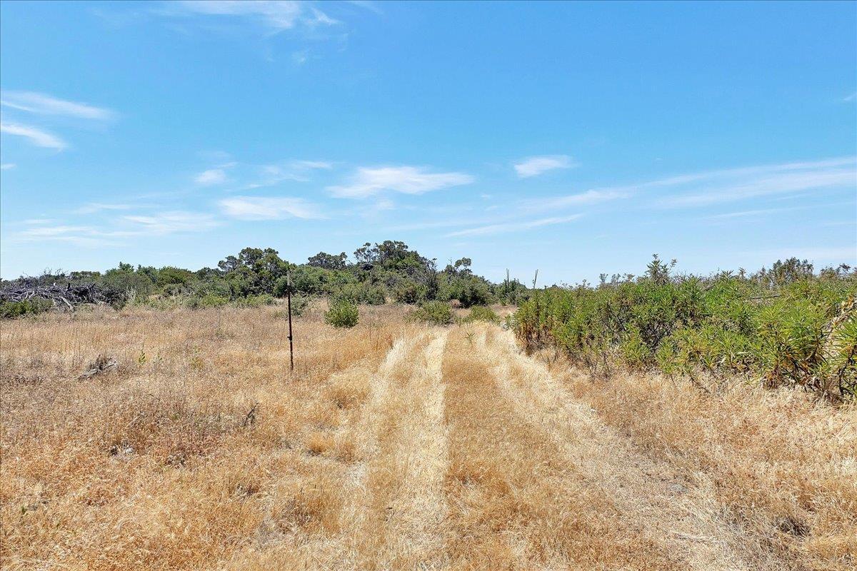 Oregon House, California, 95962, United States, ,Land,For Sale,1975767