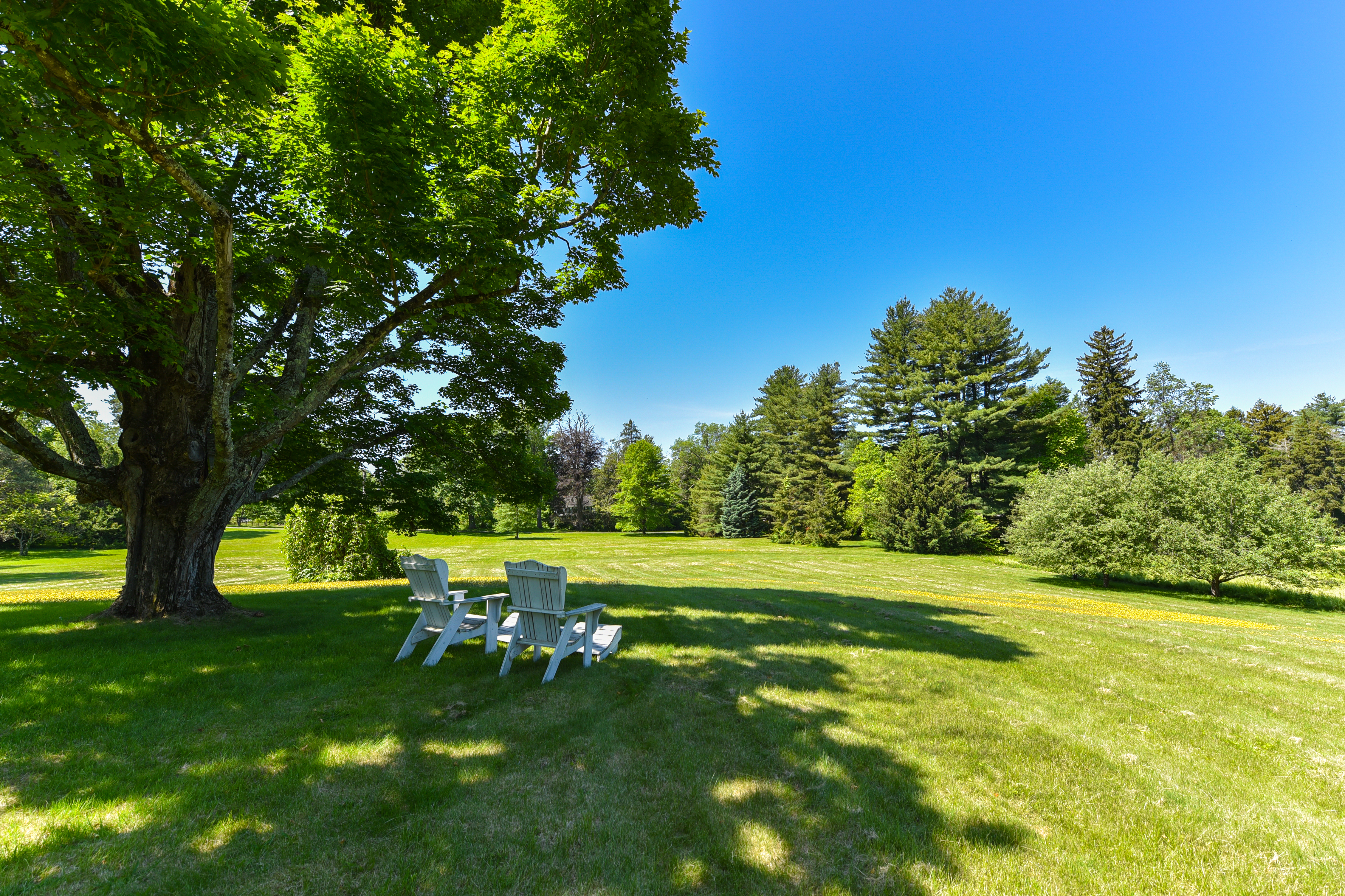  11 Mountain Spring Road - 物件實景