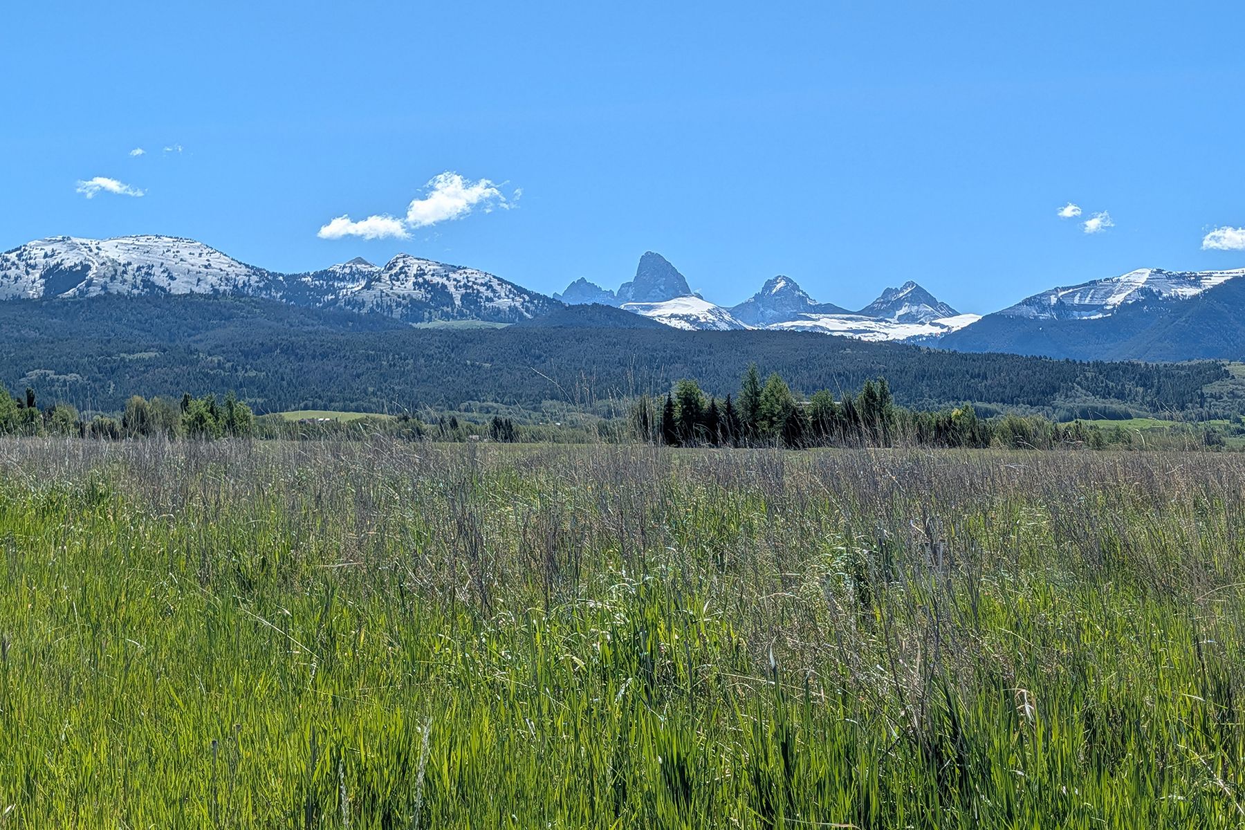  Snow Crest Ranch Drive - 物件實景