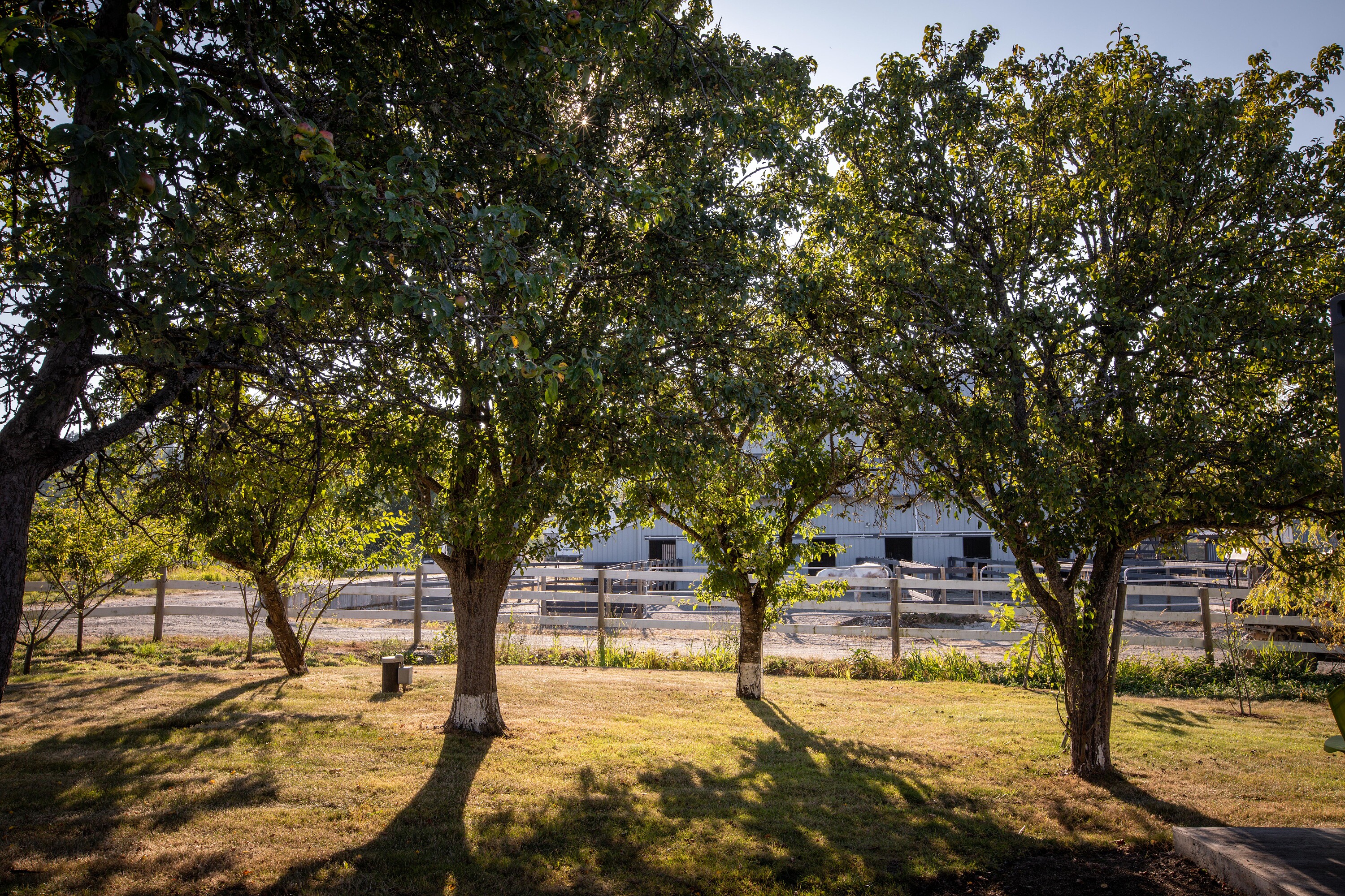  Exquisite Equestrian Estate - 物件實景
