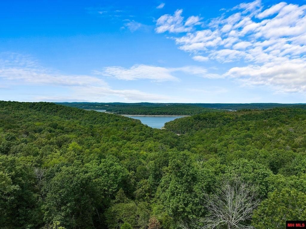 Gamaliel, Arkansas, 72537, United States, 3 Bedrooms Bedrooms, ,3 BathroomsBathrooms,Residential,For Sale,1937546