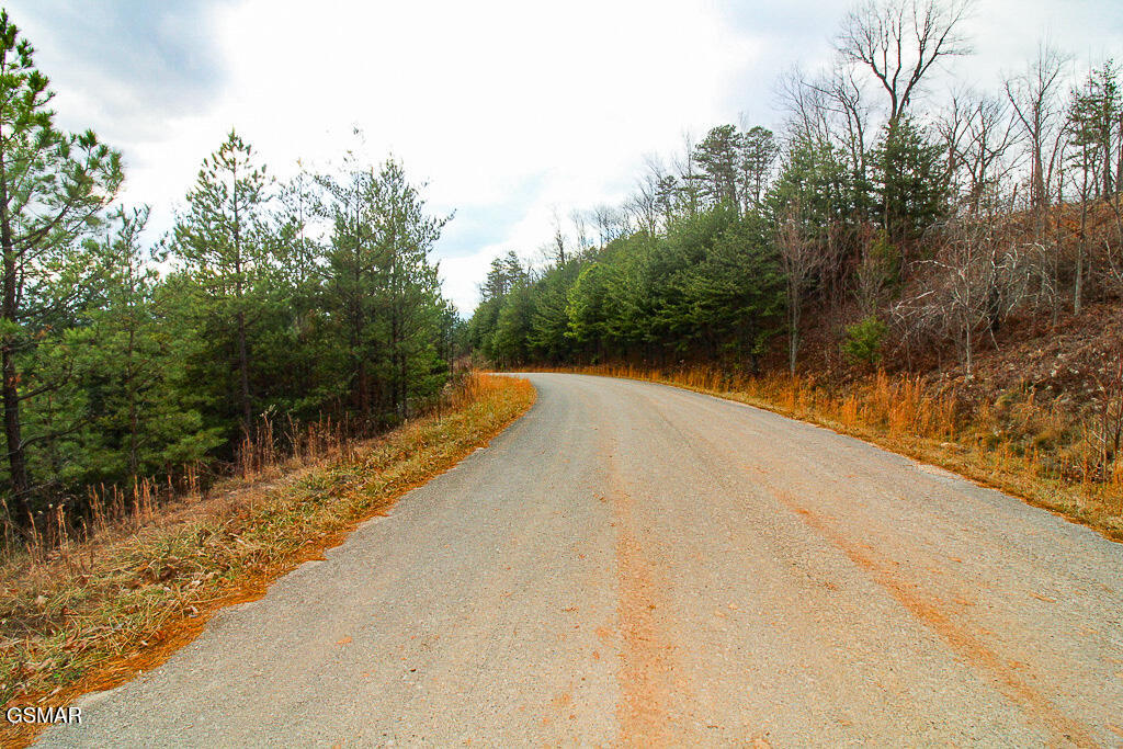 Sevierville, Tennessee, 37876, United States, ,Land,For Sale,2009102