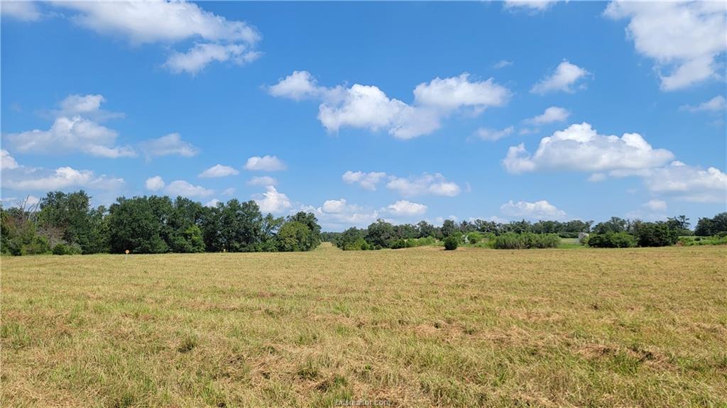 Franklin, Texas, 77856, United States, 4 Bedrooms Bedrooms, ,4 BathroomsBathrooms,Residential,For Sale,1693389