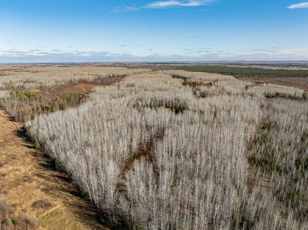 Grand Rapids, Minnesota, 55744, United States, ,Land,For Sale,1983791