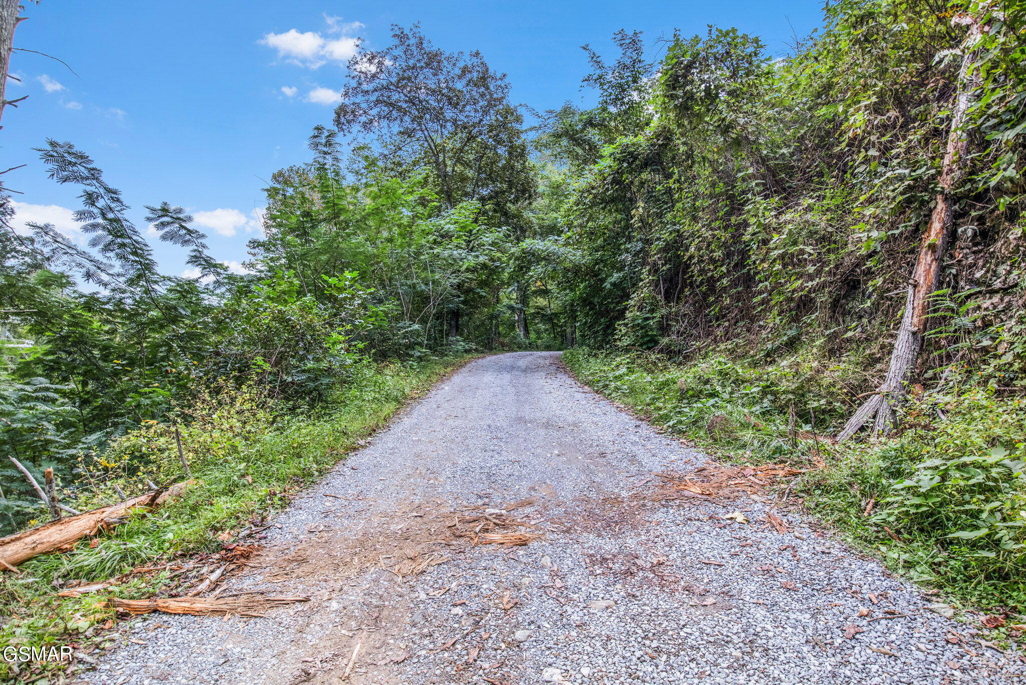 Gatlinburg, Tennessee, 37738, United States, ,Land,For Sale,1981809