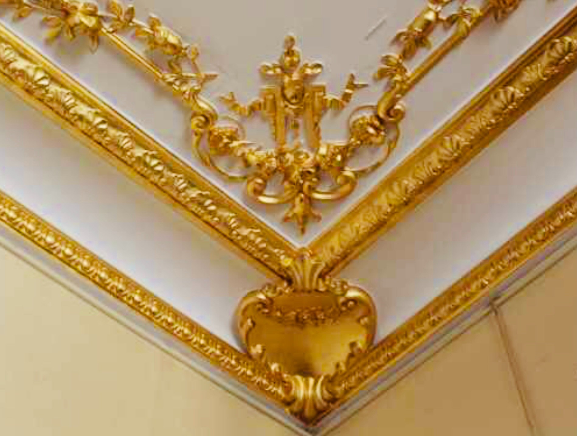  An Exceptional Residence in the Heart of Loches - 物件實景