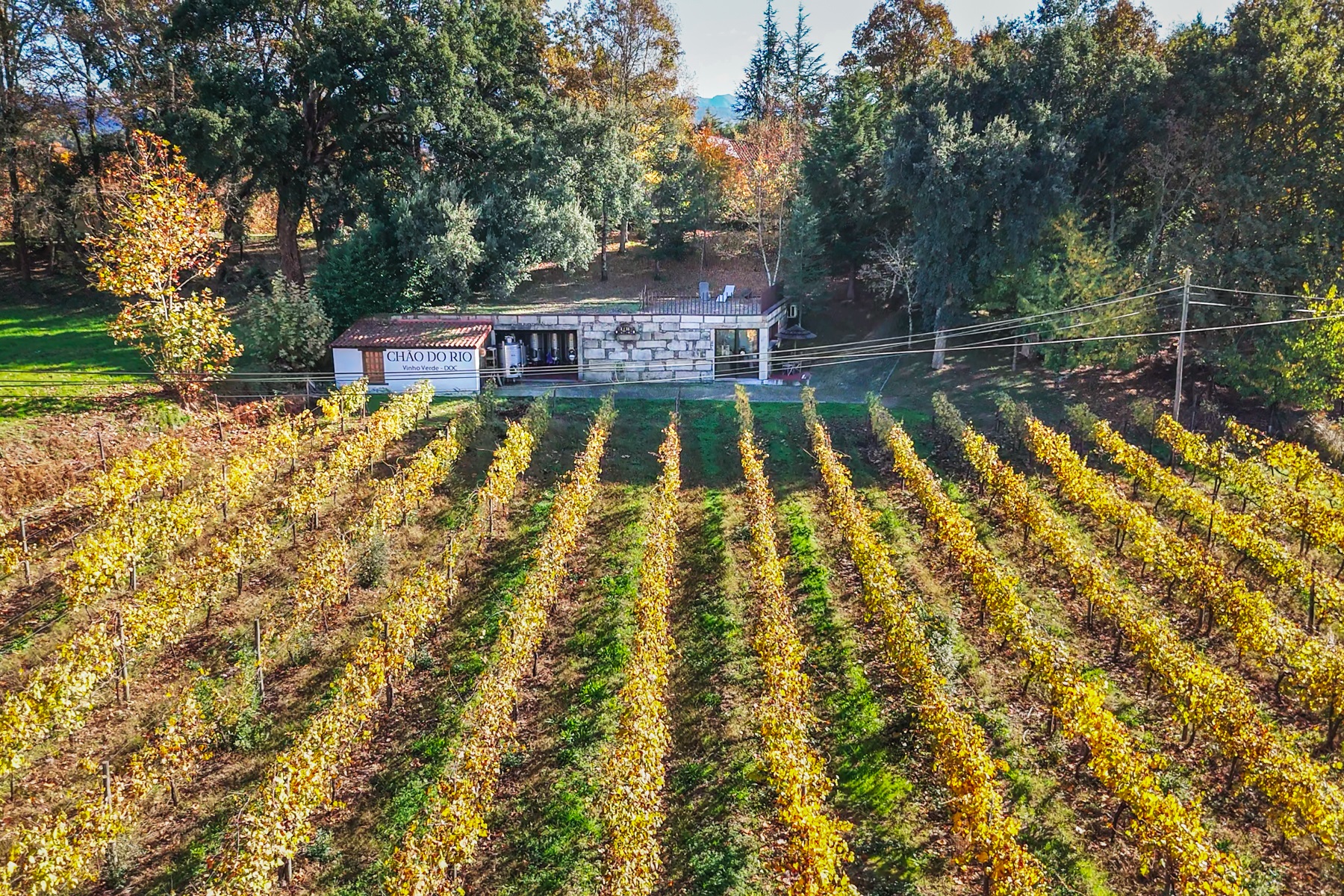  Farm, 8 bedrooms, for Sale - 物件實景