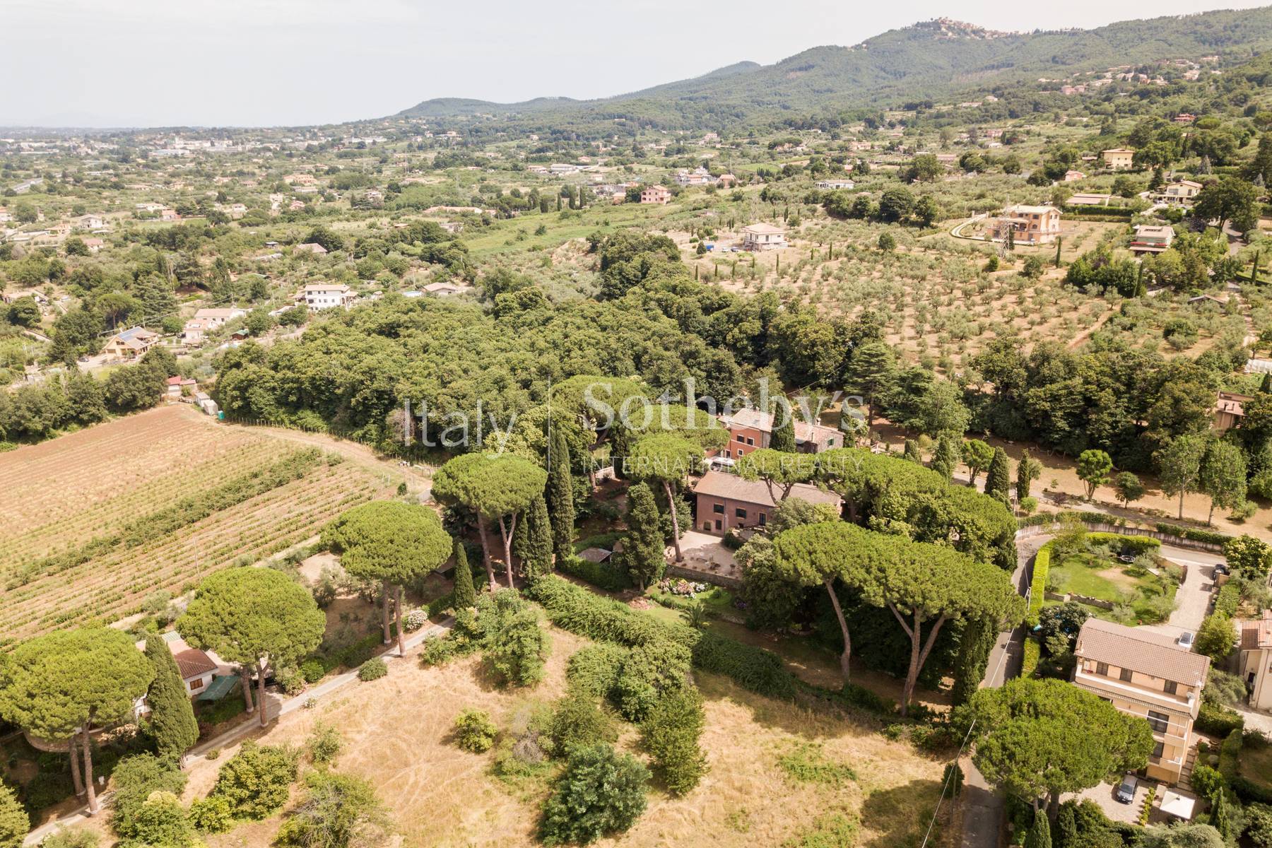  Ancient Villa in Castelli Romani - 物件實景