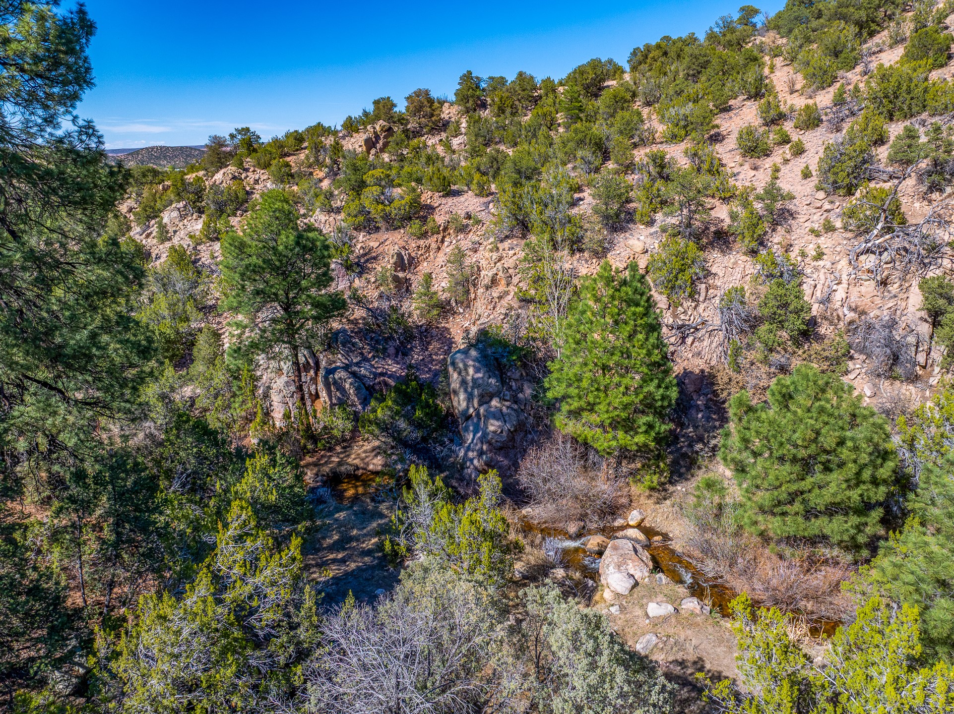  5.9 Acre Lot Camino Del Canon - 物件實景