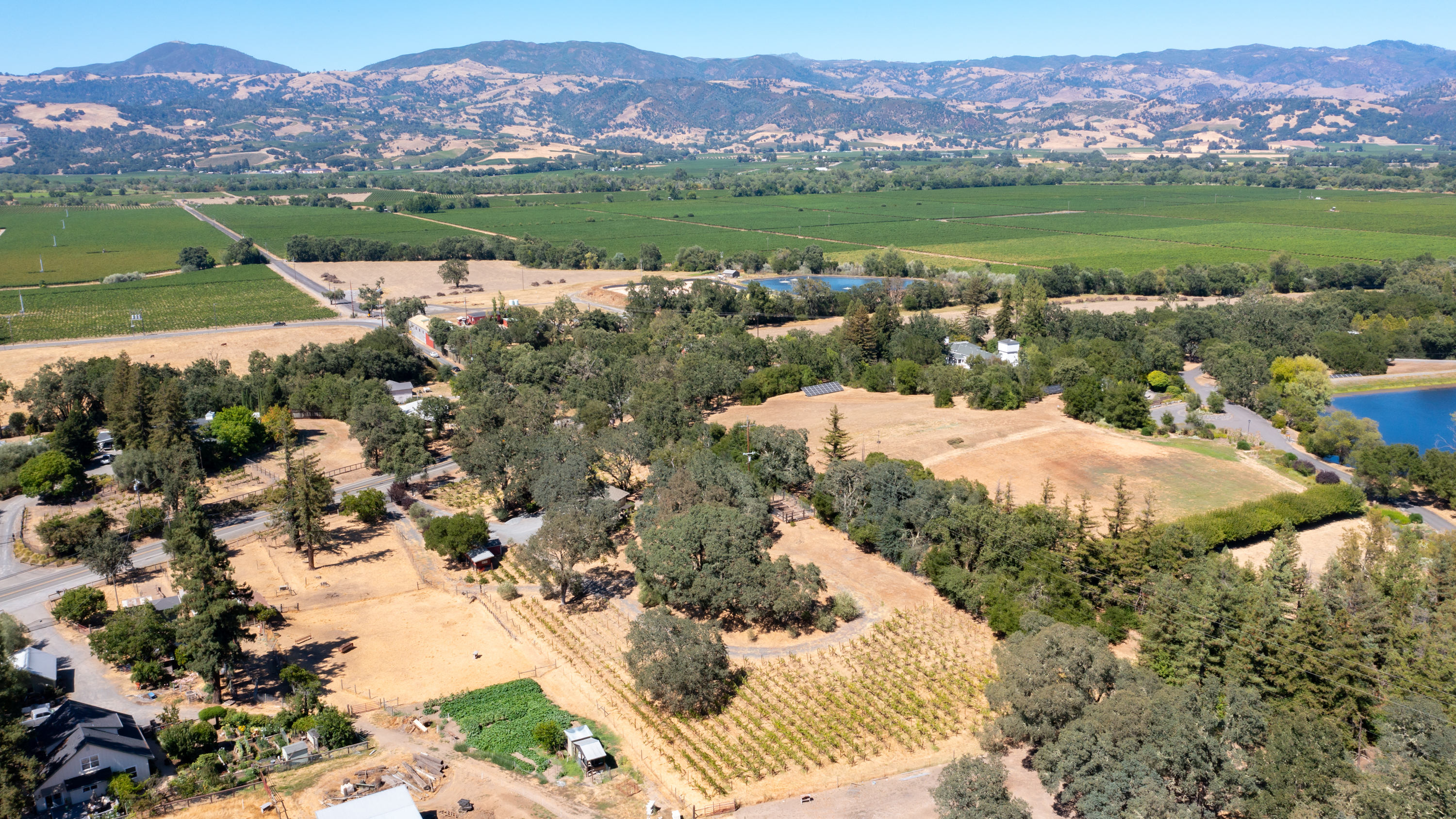  Rare Opportunity in Alexander Valley - 物件實景
