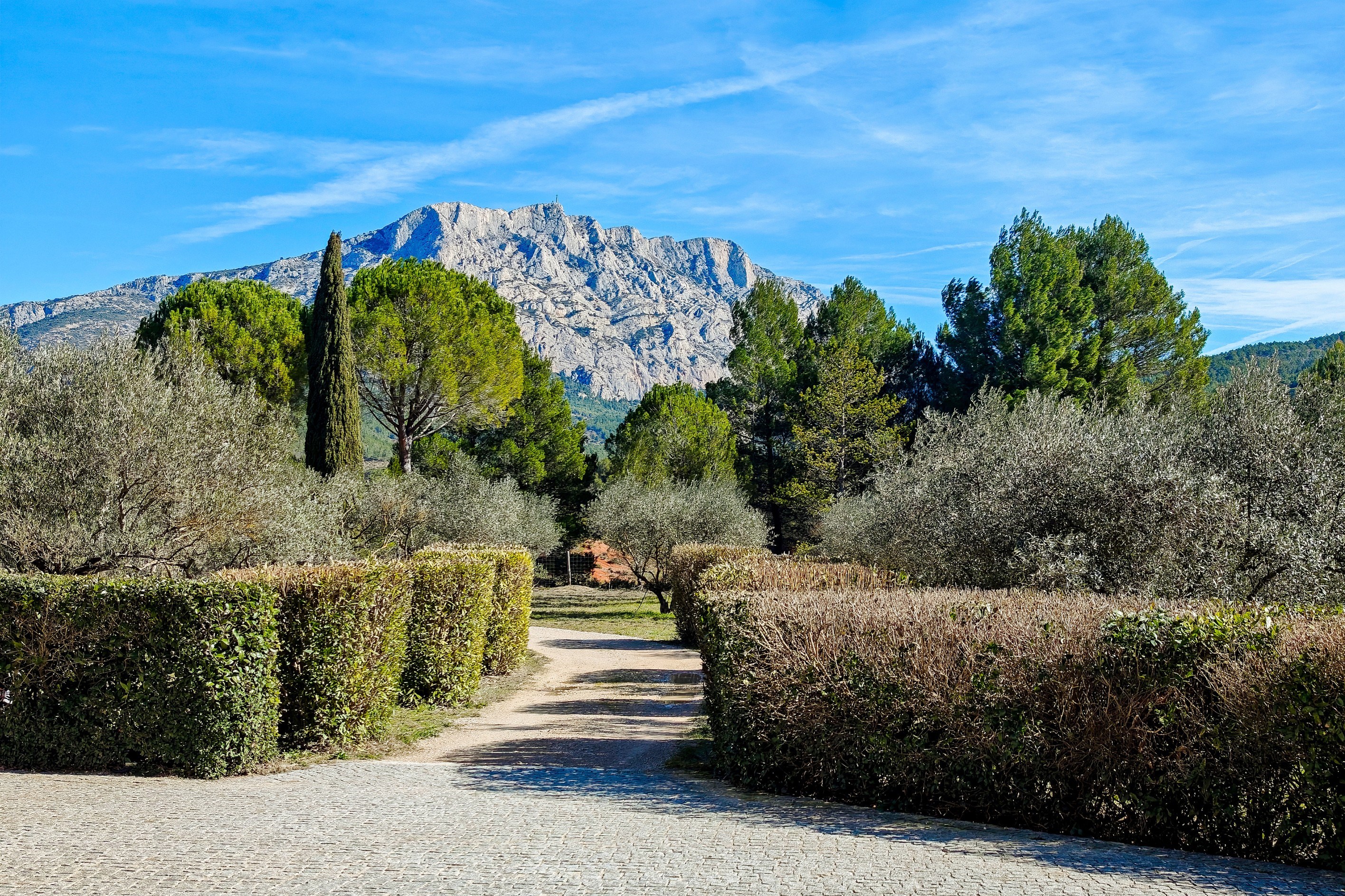  A Rare Estate with Iconic Views of Montagne Sainte-Victoire - 物件實景