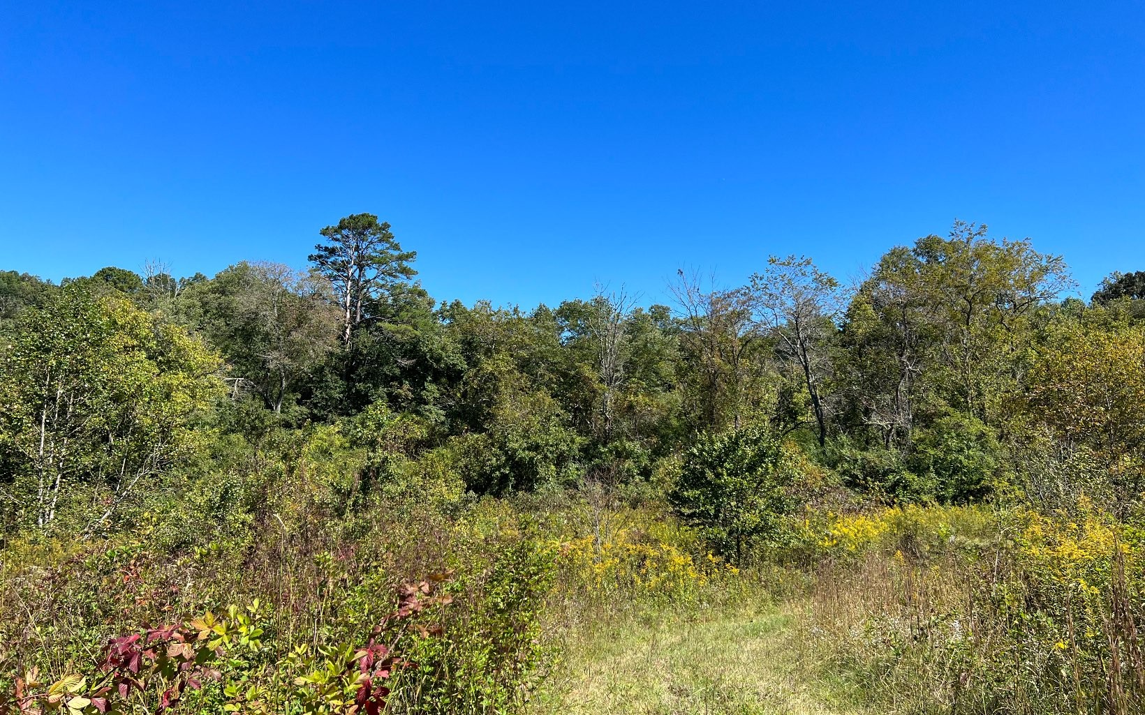 Hayesville, North Carolina, 28904, United States, ,Residential,For Sale,1943293
