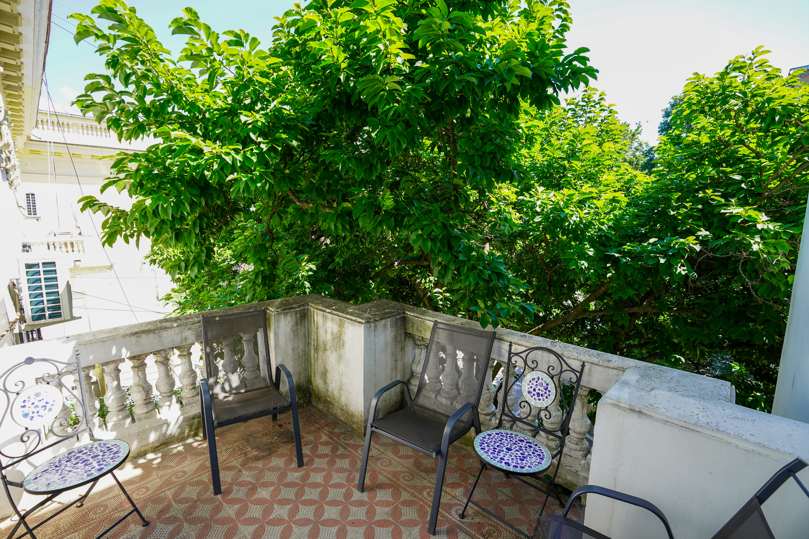  A Collector’s Residence on Kiseleff – The Architectural Legacy of Burcu & Marcu - 物件實景