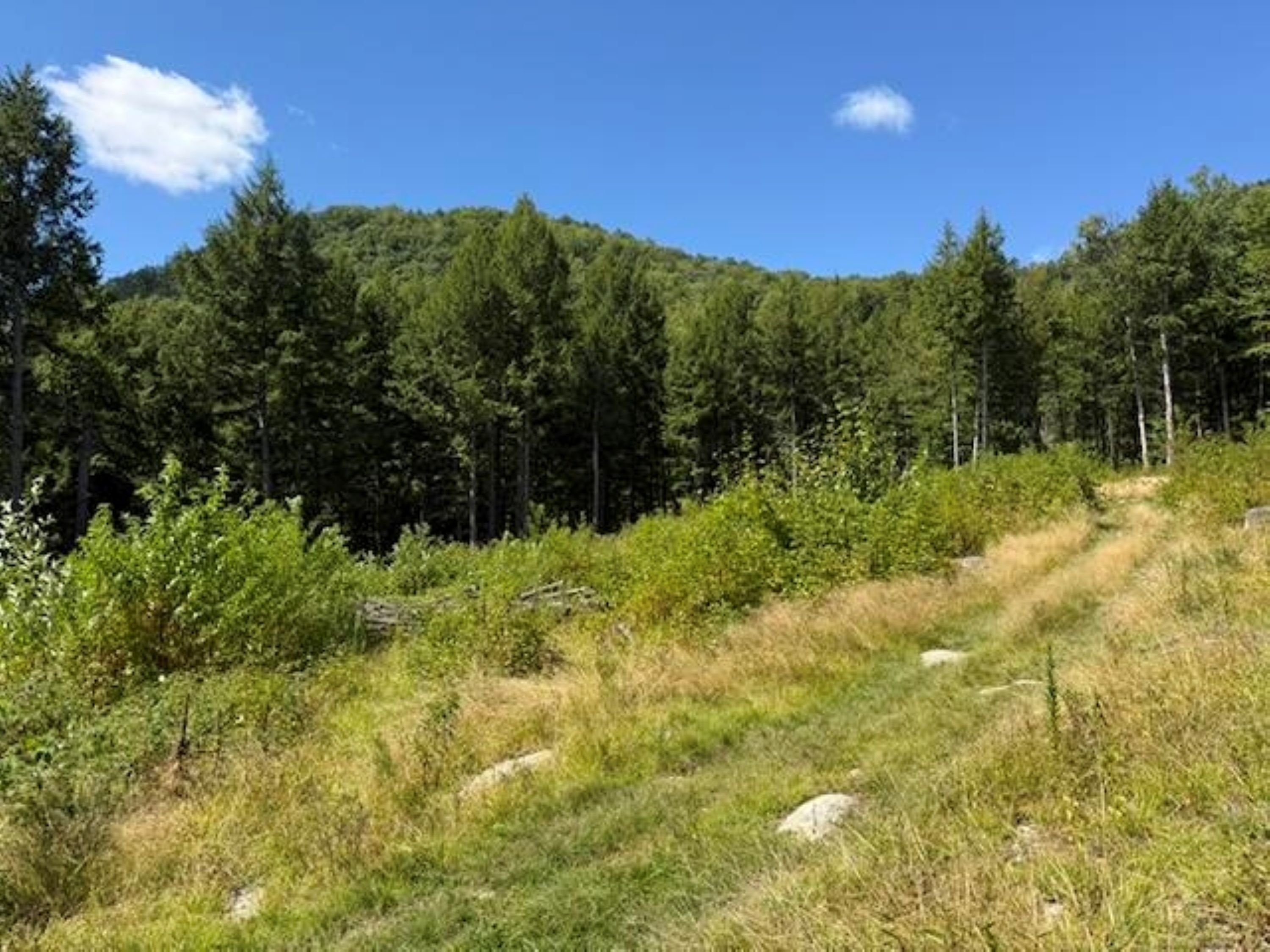  0 Peavine Boulevard - 物件實景