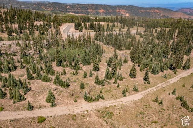 Brian Head, Utah, 84719, United States, ,Residential,For Sale,1915846