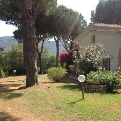 Via Tamerice, Sabaudia, Latina, 04016, IT, 5 Bedrooms Bedrooms, ,4 BathroomsBathrooms,Residential,For Sale,Via Tamerice,1611092
