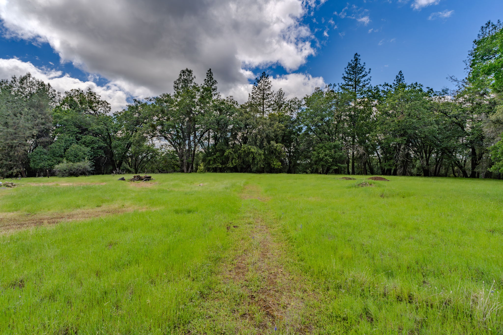  19351 Fiddletown Road, Fiddletown, CA 95629 - 物件實景