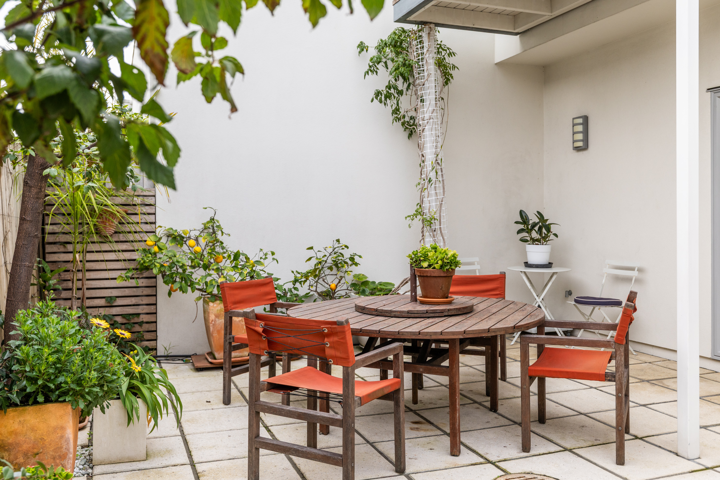  174a Waghorne Street - 物件實景