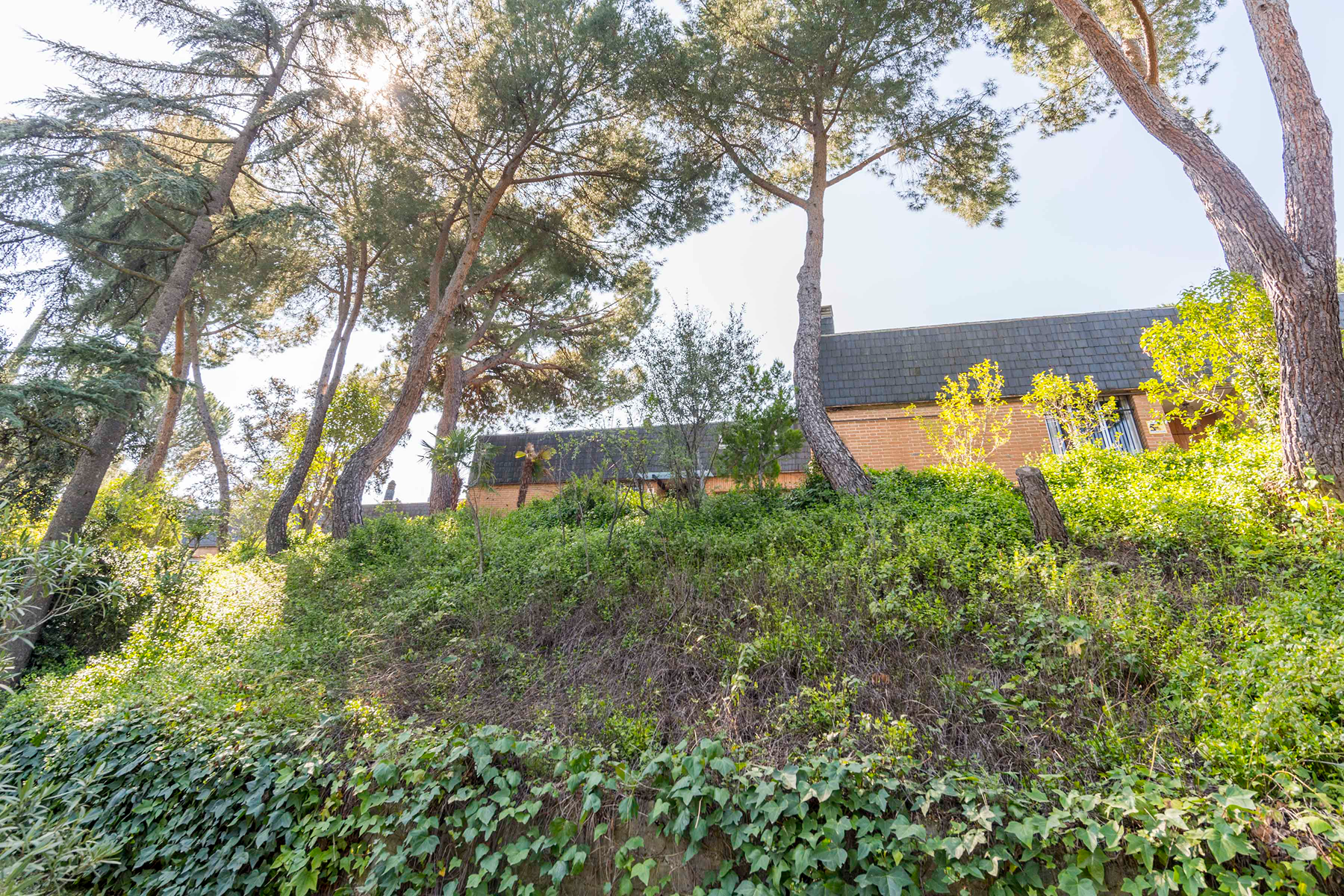  Wonderful hectare plot in La Moraleja - 物件實景