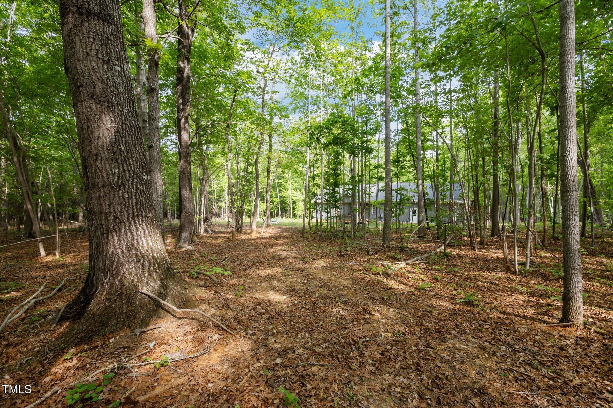 Rougemont, North Carolina, 27572, United States, 3 Bedrooms Bedrooms, ,2 BathroomsBathrooms,Residential,For Sale,1856680