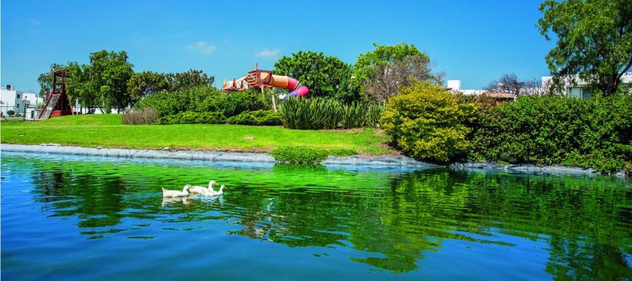 Reserva Isla de Malpeo, Querétaro, Querétaro, 76226, Mexico, 1 Bedroom Bedrooms, ,Residential,For Sale,Reserva Isla de Malpeo,1613511