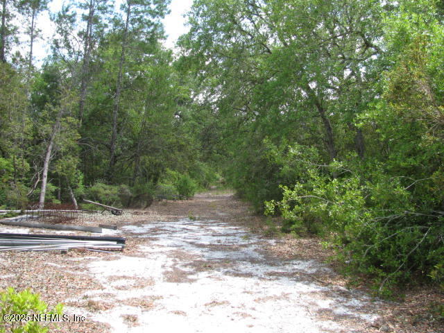 DeLeon Springs, Florida, 32130, United States, ,Land,For Sale,1978390