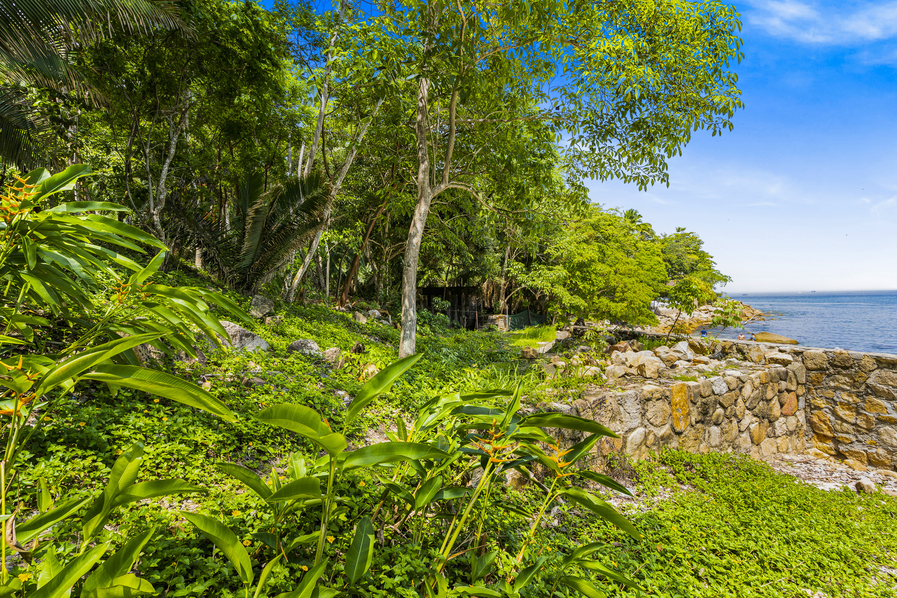  El Paredón Lot 9  Oceanfront haven, Puerto Vallarta