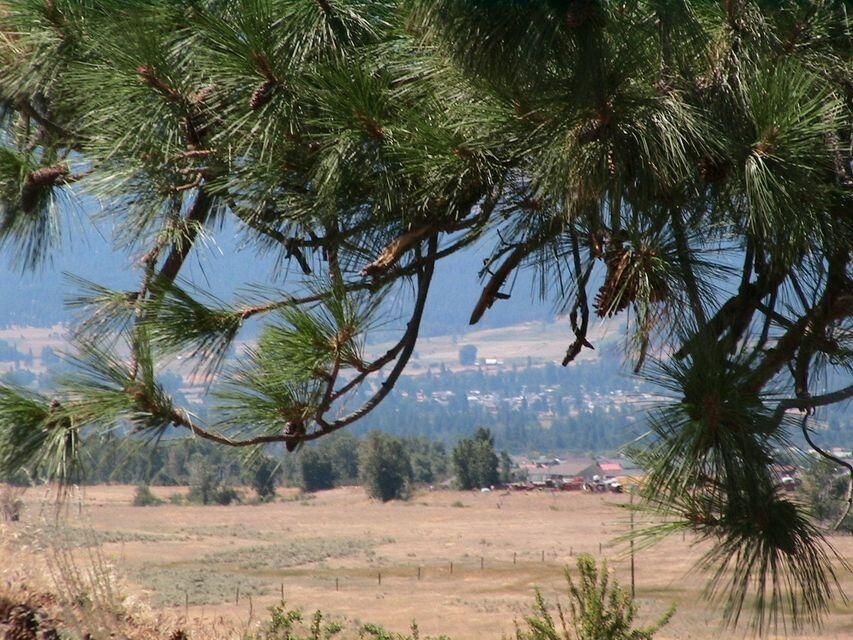 Nhn Granite Creek Road, Florence, Montana, 59833, United States, ,Residential,For Sale,Nhn Granite Creek Road,1205566