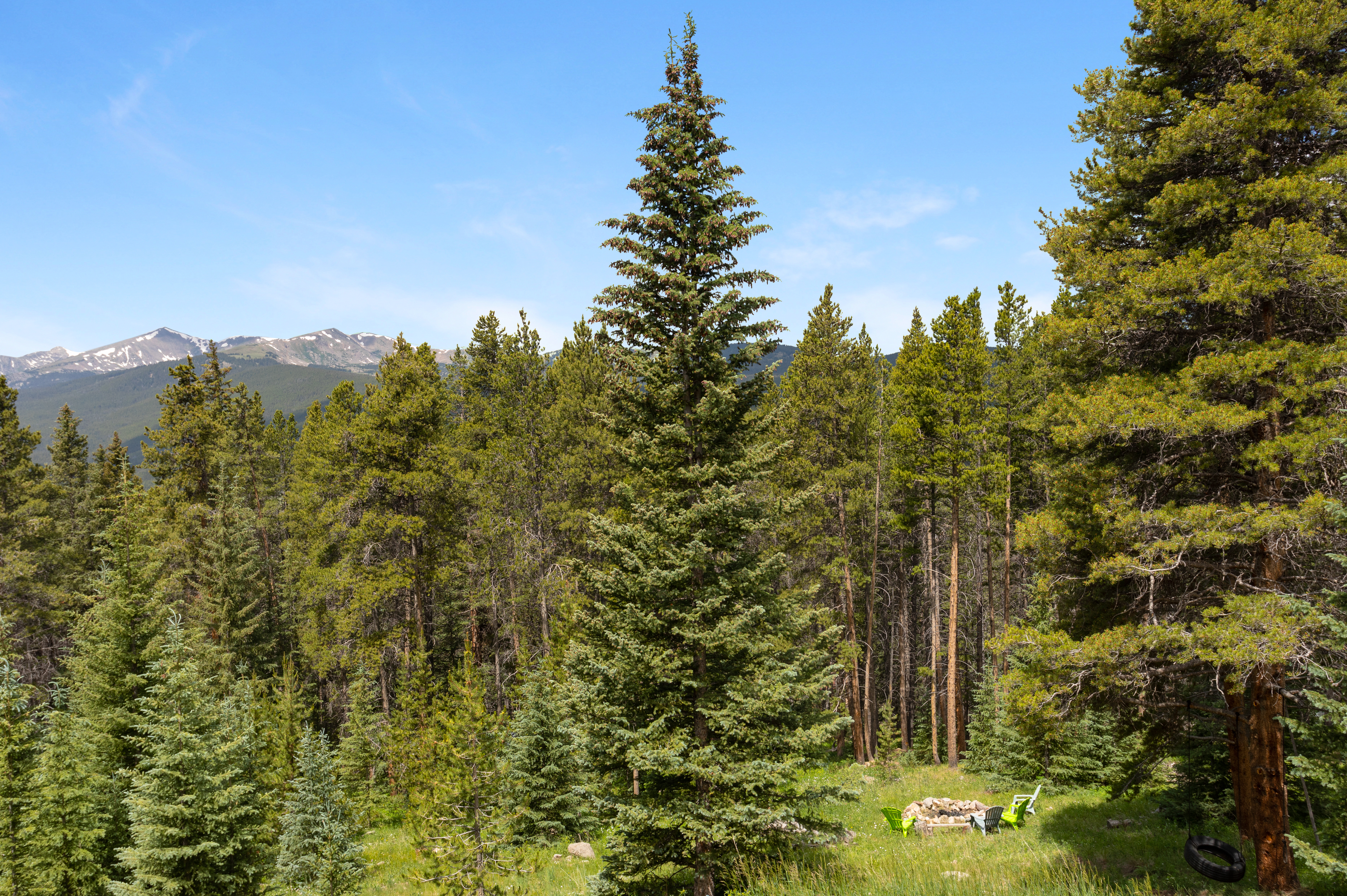  30 Fiddler Creek Road,Red Cliff, CO, 81649 - 物件實景
