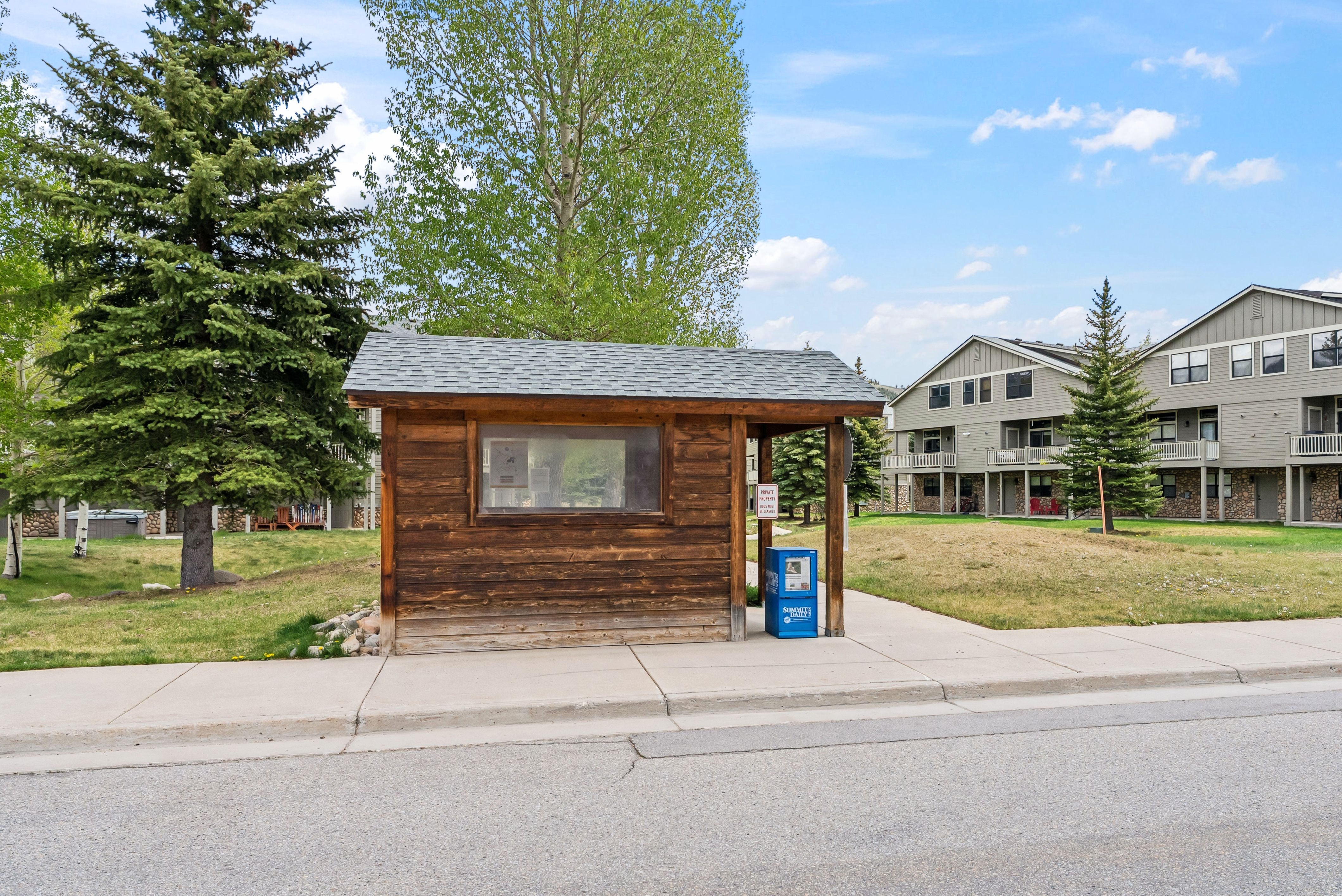  135 Creek Lane, Silverthorne, CO, 80498 - 物件實景
