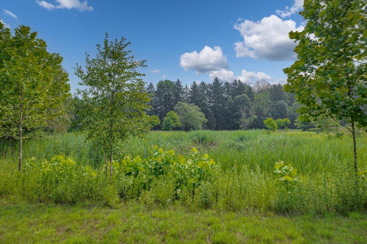 Three Oaks, Michigan, 49128, United States, ,Land,For Sale,1908365