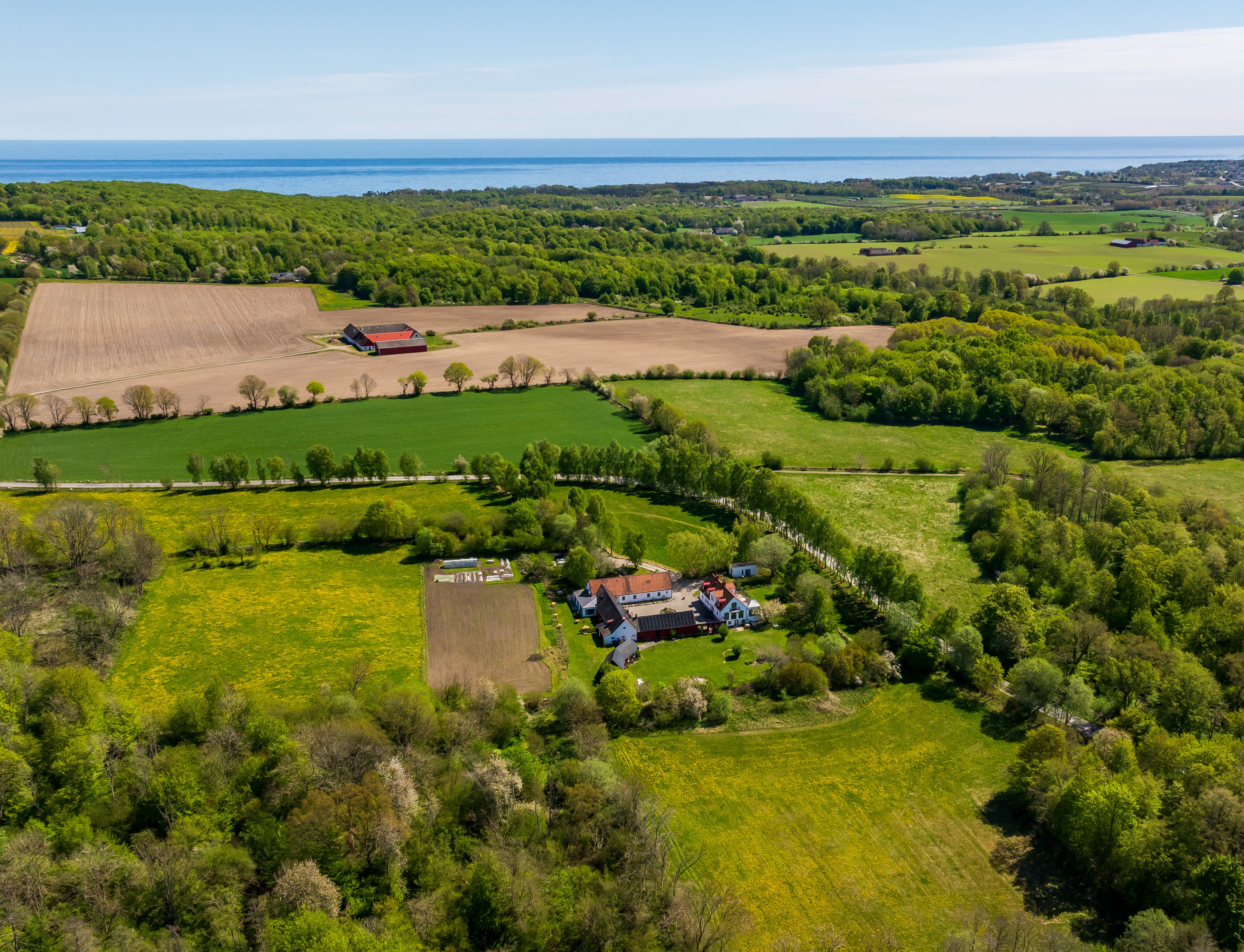  Refined Country Estate from 1929 near Kivik and the Coast - 物件實景