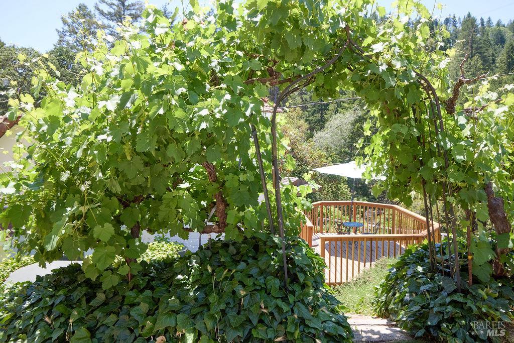 Redwood Valley, California, 95470-8010, United States, 3 Bedrooms Bedrooms, ,2 BathroomsBathrooms,Residential,For Sale,1984443