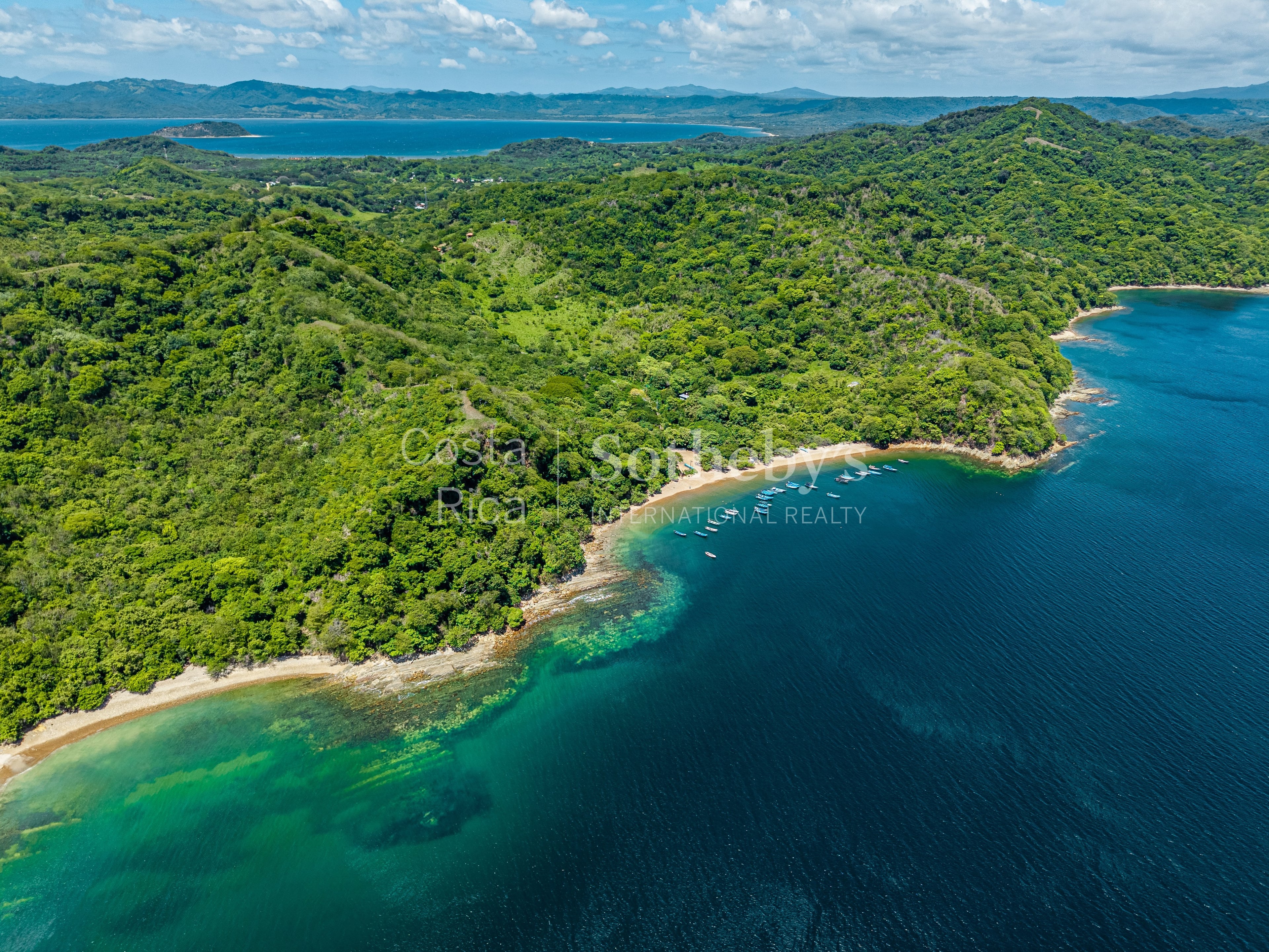  The Cove - 物件實景