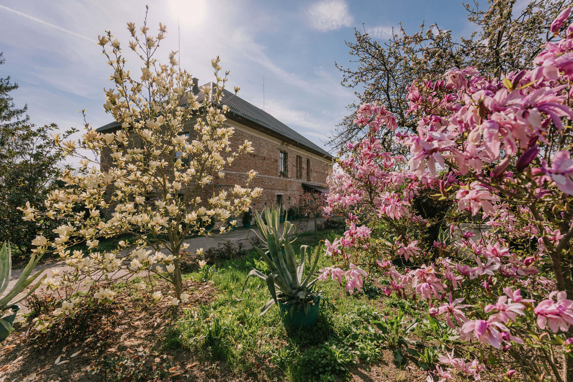 Aristocratic Retreat in the Heart of the Arge Hills - 物件實景