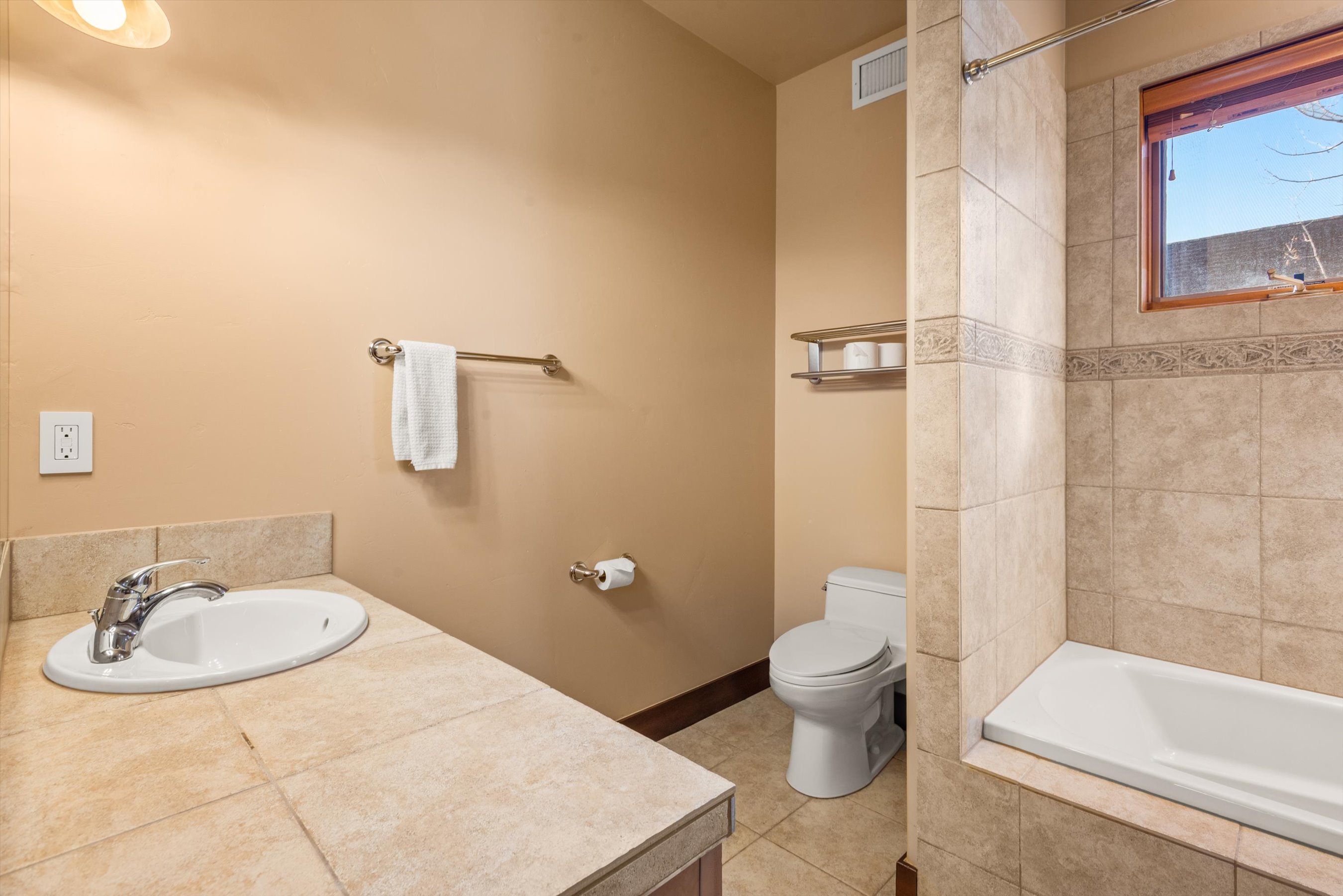  410 Meadow Court, Basalt, CO 81621 - 物件實景