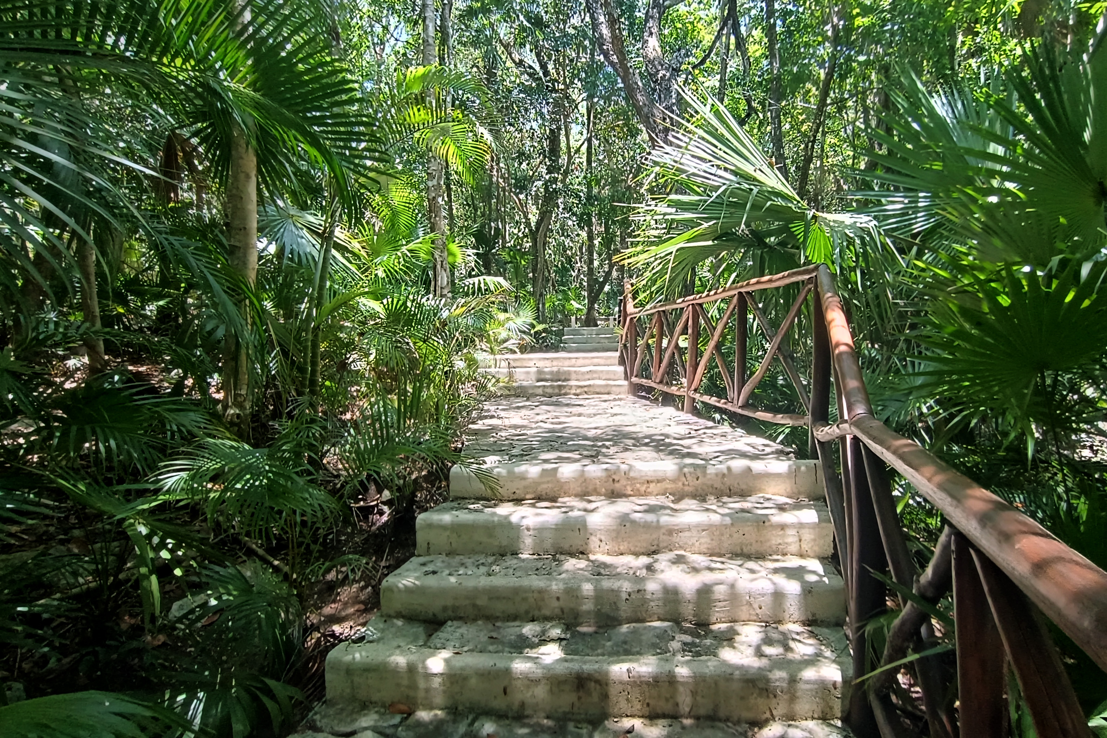  Luxury Residence Jungle Experience - 物件實景