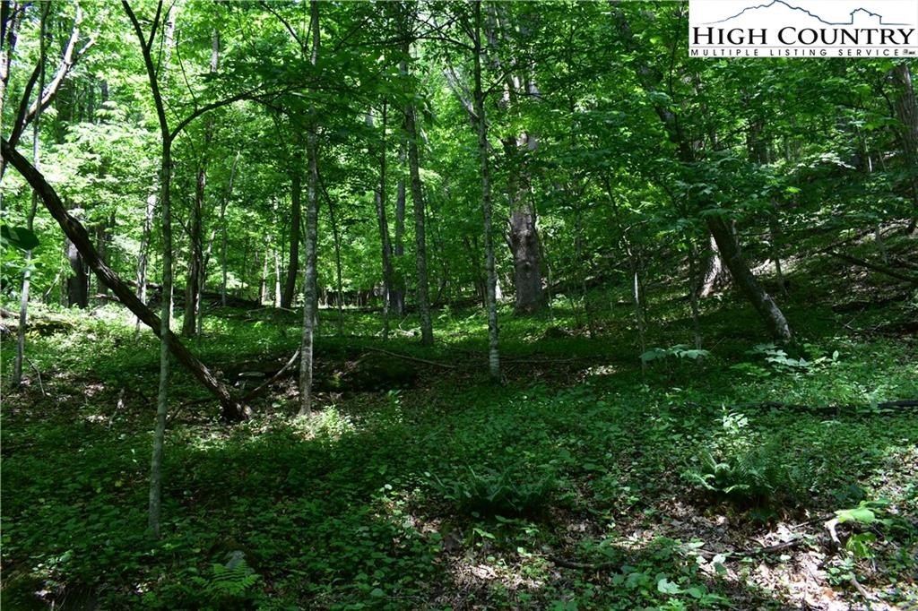 Warrensville, North Carolina, 28693, United States, ,Land,For Sale,1984173