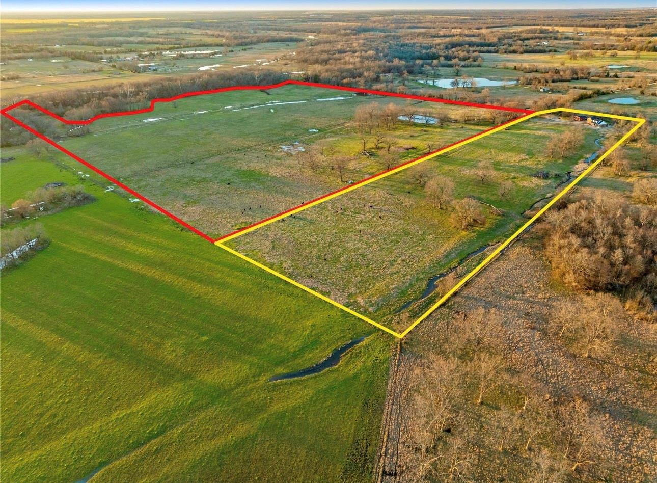 Pattonville, Texas, 75468, United States, ,Land,For Sale,1990194