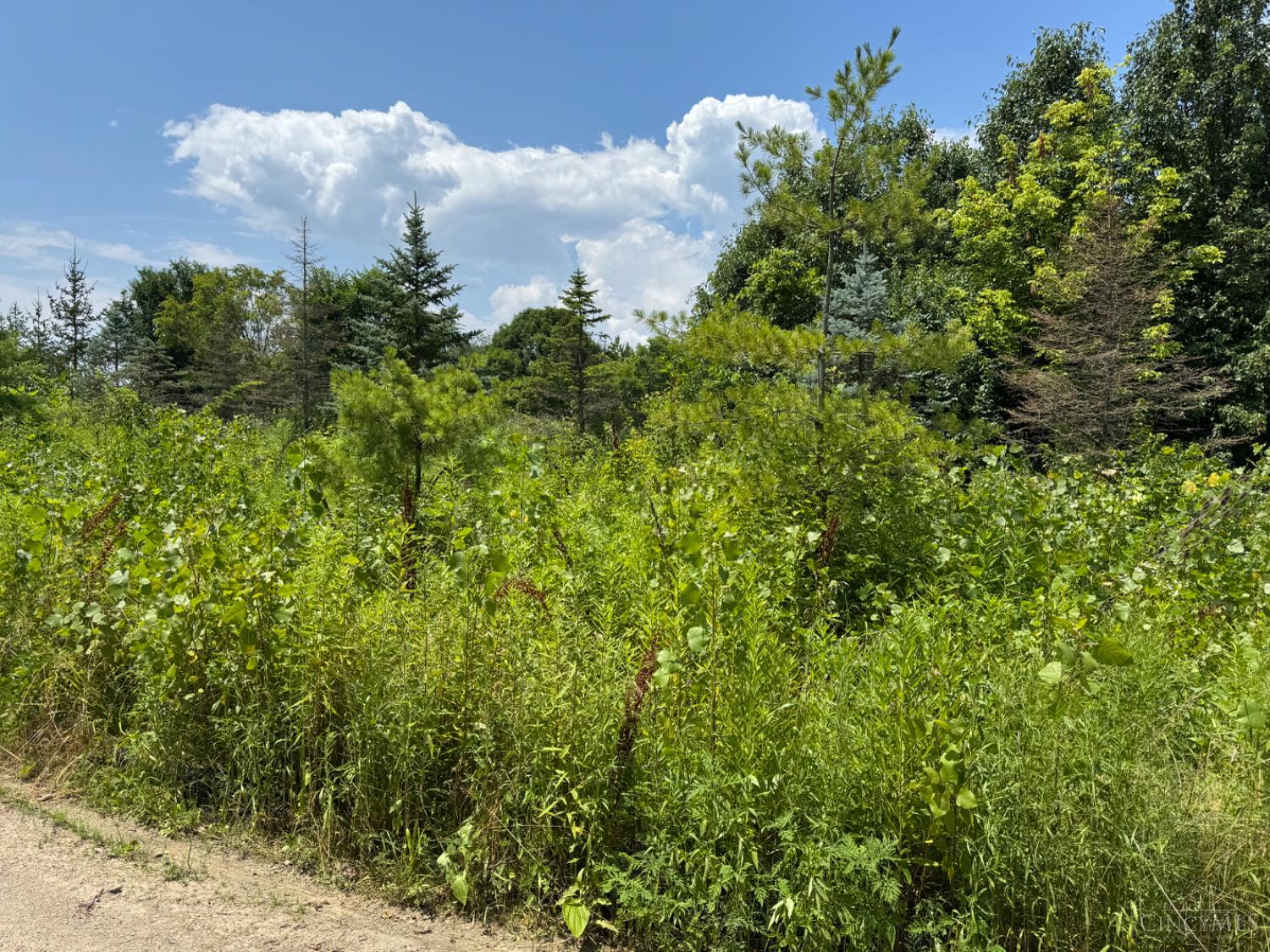 Mason, Ohio, 45040, United States, ,Land,For Sale,1885232